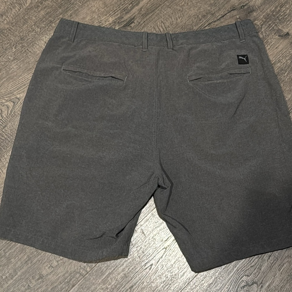 Puma Men’s Size 38 Gray Shorts - Picture 4 of 5